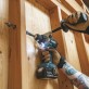Makita DHP486RTJ triecienurbjmašīna - skrūvgriezis 2x5 Ah